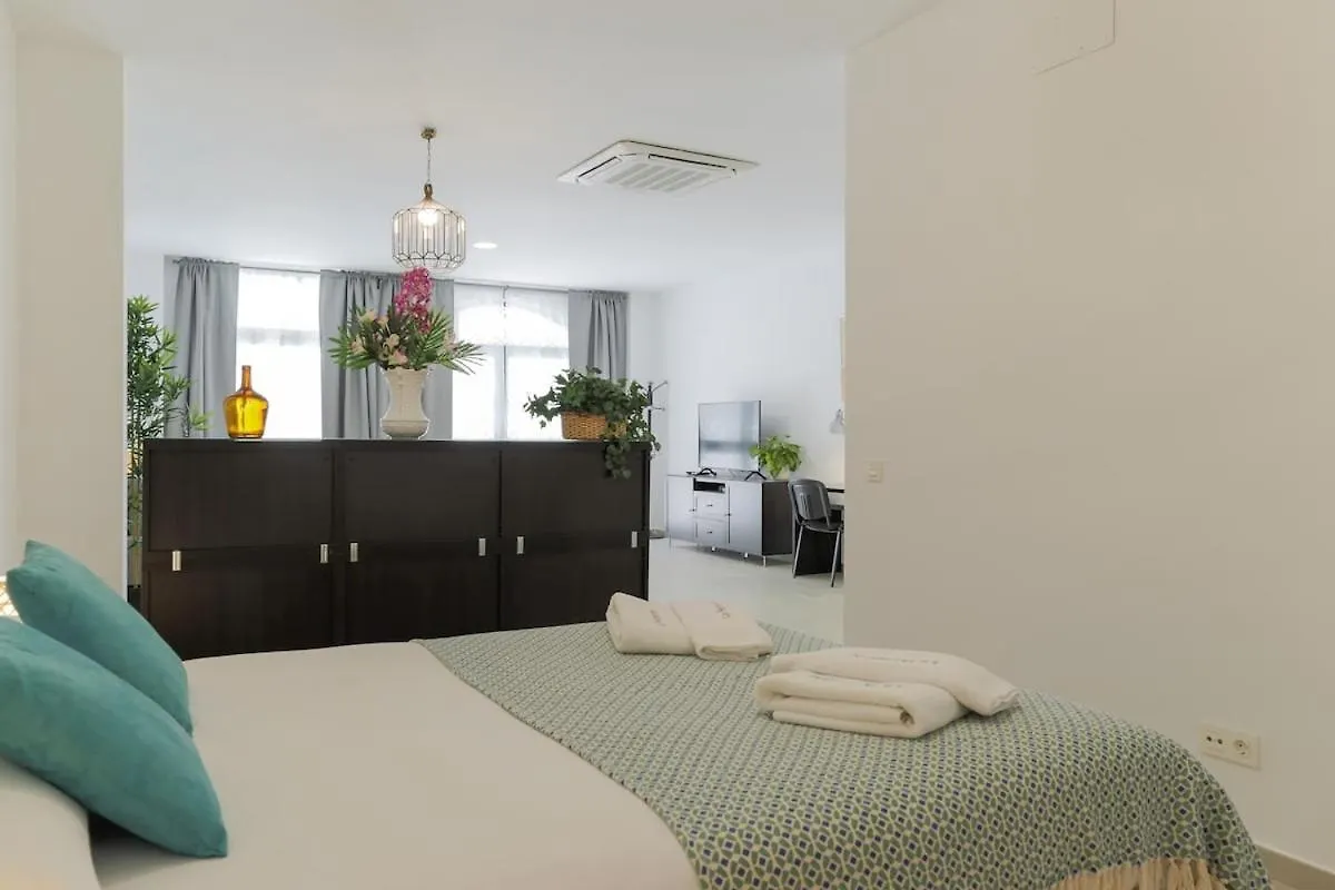 C53 - Malaga Soho Fancy Loft Apartment 0*,
