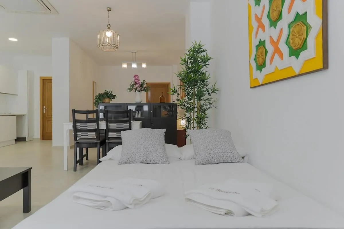 C53 - Malaga Soho Fancy Loft Apartment